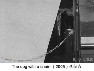 dog with a chain  - 方土